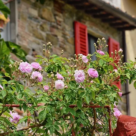 Appartement Tortorella
